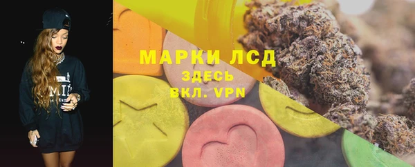 индика Заволжск