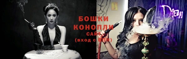 прущие грибы Майский