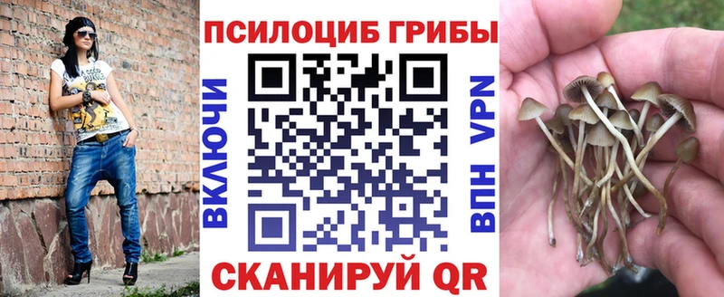 дарк нет формула  как найти   Заречный  Галлюциногенные грибы прущие грибы 