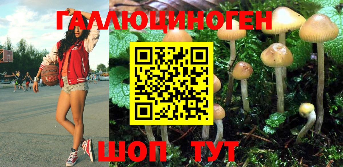 Псилоцибиновые грибы Psilocybine cubensis Заречный